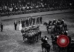Immagine di Mostra Nazionale del Cavallo New York United States USA, 1936, secondo 34 filmato di repertorio 65675037735
