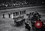 Immagine di Mostra Nazionale del Cavallo New York United States USA, 1936, secondo 35 filmato di repertorio 65675037735