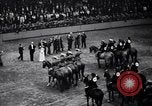 Immagine di Mostra Nazionale del Cavallo New York United States USA, 1936, secondo 36 filmato di repertorio 65675037735