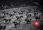 Immagine di Mostra Nazionale del Cavallo New York United States USA, 1936, secondo 40 filmato di repertorio 65675037735