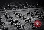 Immagine di Mostra Nazionale del Cavallo New York United States USA, 1936, secondo 43 filmato di repertorio 65675037735