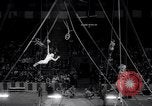 Image Cirque Ringling Brother New York City USA, 1965, de la seconde 13 séquences d'archives historiques vidéo 65675037739