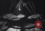 Image Cirque Ringling Brother New York City USA, 1965, de la seconde 26 séquences d'archives historiques vidéo 65675037739