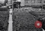 Image Goodyear fabrique de caoutchouc synthétique Akron Ohio USA, 1940, de la seconde 27 séquences d'archives historiques vidéo 65675037743