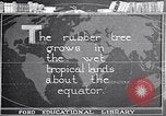 Image of rubber extraction South America, 1921, second 9 stock footage video 65675037752