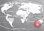 Image of rubber extraction South America, 1921, second 53 stock footage video 65675037752