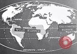 Image of rubber extraction South America, 1921, second 55 stock footage video 65675037752
