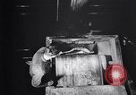 Standbild Gummi United States USA, 1930, aus Sekunde 40 historischem Filmmaterial Videoclip 65675037763