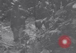 Image les troupes américaines occupant des zones de Nouvelle Guinée Aitape Nouvelle Guinée, 1944, de la seconde 21 séquences d'archives historiques vidéo 65675037770