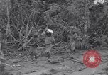 Image les troupes américaines occupant des zones de Nouvelle Guinée Aitape Nouvelle Guinée, 1944, de la seconde 35 séquences d'archives historiques vidéo 65675037770