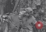 Image les troupes américaines occupant des zones de Nouvelle Guinée Aitape Nouvelle Guinée, 1944, de la seconde 39 séquences d'archives historiques vidéo 65675037770