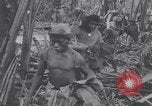 Image les troupes américaines occupant des zones de Nouvelle Guinée Aitape Nouvelle Guinée, 1944, de la seconde 41 séquences d'archives historiques vidéo 65675037770