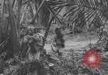 Image les troupes américaines occupant des zones de Nouvelle Guinée Aitape Nouvelle Guinée, 1944, de la seconde 47 séquences d'archives historiques vidéo 65675037770
