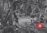 Image les troupes américaines occupant des zones de Nouvelle Guinée Aitape Nouvelle Guinée, 1944, de la seconde 49 séquences d'archives historiques vidéo 65675037770