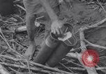 Image les troupes américaines occupant des zones de Nouvelle Guinée Aitape Nouvelle Guinée, 1944, de la seconde 57 séquences d'archives historiques vidéo 65675037770