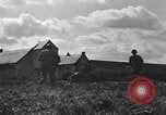Image 1ère Armée des États-Unis d'avancer à la Belgique Belgique, 1944, de la seconde 25 séquences d'archives historiques vidéo 65675037773