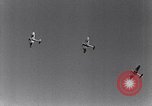 Image of B-17 bomber Pforzheim Germany, 1945, second 50 stock footage video 65675037777