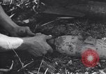 Standbild japanischen Mine Birma, 1945, aus Sekunde 37 historischem Filmmaterial Videoclip 65675037785