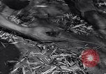 Standbild japanischen Mine Birma, 1945, aus Sekunde 46 historischem Filmmaterial Videoclip 65675037785