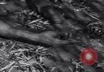 Standbild japanischen Mine Birma, 1945, aus Sekunde 47 historischem Filmmaterial Videoclip 65675037785