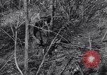 Standbild japanischen Mine Birma, 1945, aus Sekunde 48 historischem Filmmaterial Videoclip 65675037785