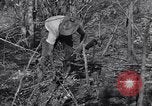Standbild japanischen Mine Birma, 1945, aus Sekunde 50 historischem Filmmaterial Videoclip 65675037785