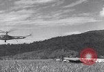 Standbild YR-4 Helikopter Birma, 1945, aus Sekunde 36 historischem Filmmaterial Videoclip 65675037786