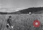Standbild YR-4 Helikopter Birma, 1945, aus Sekunde 57 historischem Filmmaterial Videoclip 65675037786