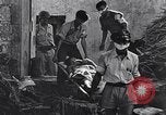 Immagine di Filippini Manila Filippine, 1945, secondo 42 filmato di repertorio 65675037788