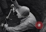 Image of 81 mm mortar crews Germany, 1945, second 1 stock footage video 65675037793