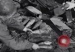 Image of 81 mm mortar crews Germany, 1945, second 30 stock footage video 65675037793