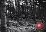 Image of British and Canadian Forces advance from Holland into Germany Kleve Germany, 1945, second 49 stock footage video 65675037794
