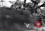 Image of Battle for Philippines Luzon Island Philippines, 1945, second 21 stock footage video 65675037799