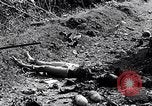 Image of Battle for Philippines Luzon Island Philippines, 1945, second 23 stock footage video 65675037799