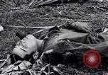 Image of Battle for Philippines Luzon Island Philippines, 1945, second 25 stock footage video 65675037799