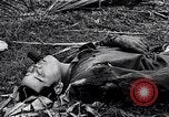 Image of Battle for Philippines Luzon Island Philippines, 1945, second 26 stock footage video 65675037799