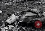 Image of Battle for Philippines Luzon Island Philippines, 1945, second 27 stock footage video 65675037799