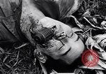 Image of Battle for Philippines Luzon Island Philippines, 1945, second 28 stock footage video 65675037799