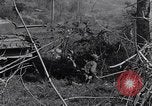 Image of Battle for Philippines Luzon Island Philippines, 1945, second 41 stock footage video 65675037799