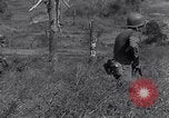 Image of Battle for Philippines Luzon Island Philippines, 1945, second 59 stock footage video 65675037799