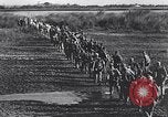 Image of Allied prisoners rescued from Cabanatuan prison camp Philippines, 1945, second 12 stock footage video 65675037801