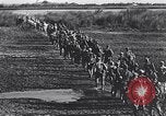 Image of Allied prisoners rescued from Cabanatuan prison camp Philippines, 1945, second 13 stock footage video 65675037801