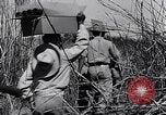 Image of Allied prisoners rescued from Cabanatuan prison camp Philippines, 1945, second 20 stock footage video 65675037801