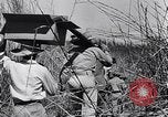 Image of Allied prisoners rescued from Cabanatuan prison camp Philippines, 1945, second 24 stock footage video 65675037801