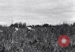 Image of Allied prisoners rescued from Cabanatuan prison camp Philippines, 1945, second 25 stock footage video 65675037801
