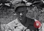 Image of Allied prisoners rescued from Cabanatuan prison camp Philippines, 1945, second 31 stock footage video 65675037801