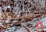 Image of wrecked steel frame Nagasaki Japan, 1946, second 14 stock footage video 65675037806