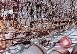 Image of wrecked steel frame Nagasaki Japan, 1946, second 15 stock footage video 65675037806