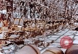 Image of wrecked steel frame Nagasaki Japan, 1946, second 17 stock footage video 65675037806