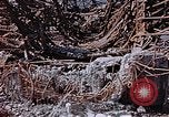 Image of wrecked steel frame Nagasaki Japan, 1946, second 24 stock footage video 65675037806